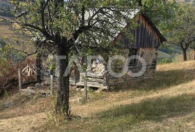 Teren de vanzare 8.300 mp Plesi Loman judetul Alba - 6