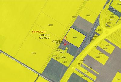 Teren intravilan cu deschidere generoasa la DN6, Mihailesti, Giurgiu - 7
