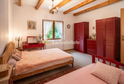 La Dolce Vita-casa vintage/moderna-Somesul Rece - 7