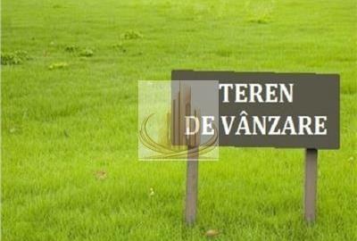 Teren agricol extravilan de 5000 mp, în Freidorf