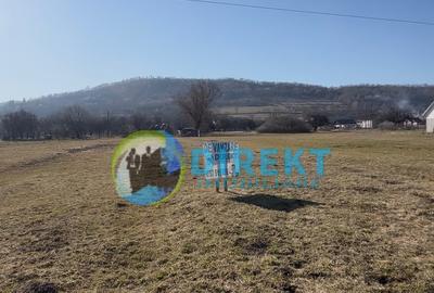 Teren Construcții intravilan de 2500 mp, în Mijlocenii Bârgăului