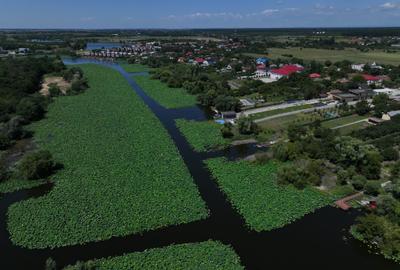 Teren premium cu deschidere la lacul Snagov-Tancabesti - 2