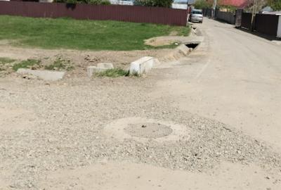 Teren extravilan 7.200 mp Bordea - Grajduri/ Oportunitate Investiție - 5