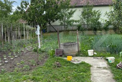 Casă individuală cu 3 camere în Cornești (Crăciunești)