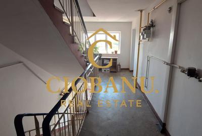 Apartament 2 camere de închiriat Ultracentral, Lângă Gradina Botanica - 11