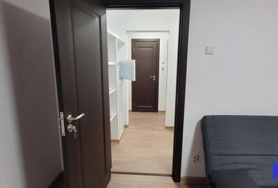 Nitu Vasile, Berceni, chirie 2 camere, 2/10, renovat. - 9