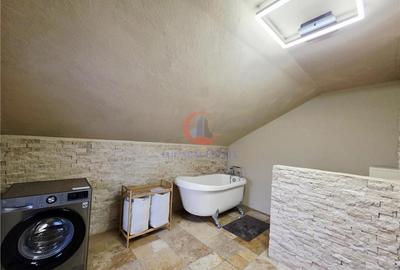 Vila, Cerneteaz, Teren Generos, Casa de Oaspeti, Beci, Garaj - 19