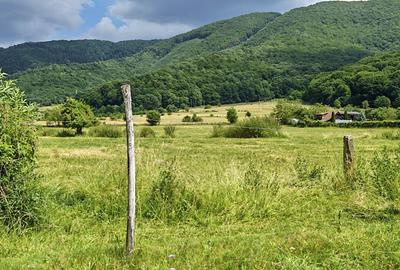 Teren intravilan - padure de agrement - in Brasov. - 4