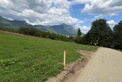Teren intravilan  1000 mp zona Bran-Tohanita,langa padurela 10 km de Rasnov - 12