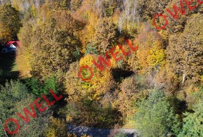 Teren extravilan de 3.500 m² de vânzare în Bodvaj! - 4