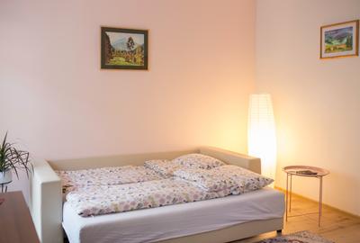 Apartament 2 camere Castelului - 7