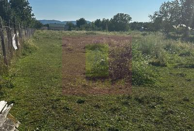 Teren Construcții de 3750 mp, în Voila