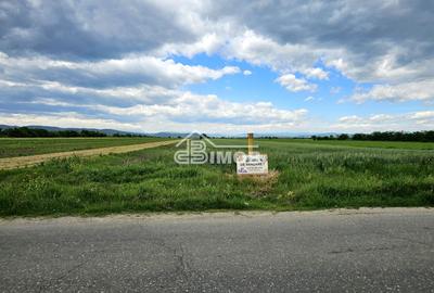 Teren extravilan agricol 2.500 m² | 21 ml deschidere | Filipeștii de T - 3