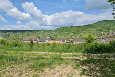 Teren 1500 mp pe str Paltinului, Valea Ghinzii , extravilan Bistrita - 2