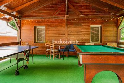 Splendoarea naturii imbinata cu stilul modern=pensiune exclusivista - 28
