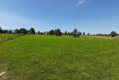 Teren de 9350 mp, în Bran