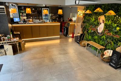 Spațiu comercial, 227 mp în Decebal