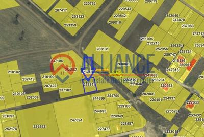 VIILE NOI - Teren în spate la Vila Cucoanei - 3