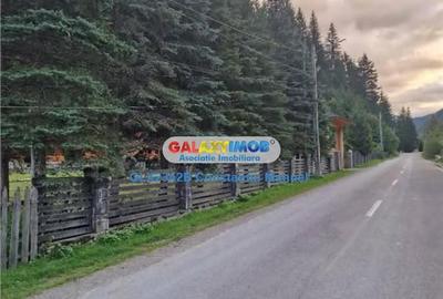 Pensiune cu teren de 5000 mp, si pastravarie, Neamt, Borca - 1