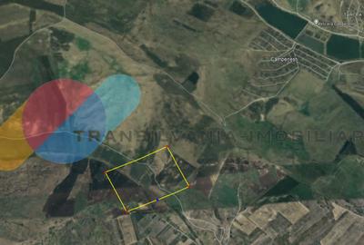 Teren agricol extravilan de 39867 mp, în Apahida
