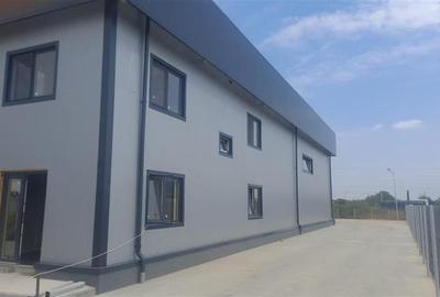 Vanzare depozit/hala/spatiu industrial Domnesti - Centura, Ilfov - 3
