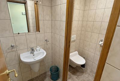 Birou 84 mp + depozitare 36 mp + terasă 22 mp | Tei - Barbu Văcărescu - 13