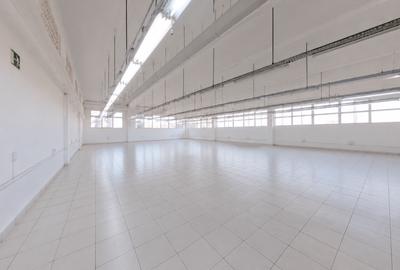Oportunitate de investiție | Proprietate industrială completă - 17