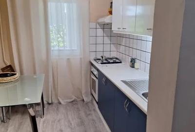Apartament cu 2 cameredecomandat in Tatarasi Sud-Metalurgie - 9