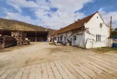 Fabrica prelucrare lemn de vanzare – Lipova, Arad - 6