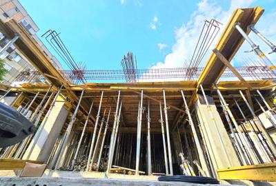 STAVRINOS 10-12 PROIECT NOU METROU PIATA GORJULUI & PARC LINIEI I DEZVOLTATOR - 2