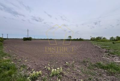 Teren Construcții intravilan de 48800 mp, în Pădureni (Jebel)