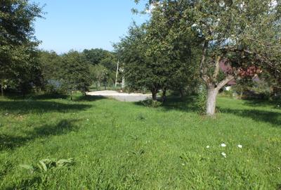 Teren Bran Sohodol , o zona de vis, o priveliste unica spre muntii Bucegi! - 1