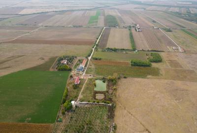 Casă cu teren 13 418 mp intravilan - 19