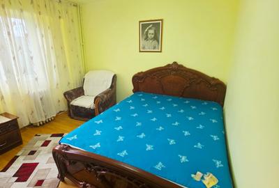 Vanzare apartament 2 camere decomandat, Malu Rosu, parter inalt - 18