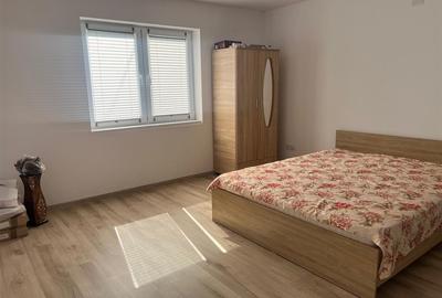 Casa renovata cu teren si anexe in Birtin - 4