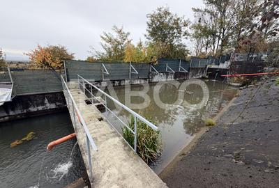 Casa cu potential de investitie 7 camere foisor 4 bazine de pesti - 25