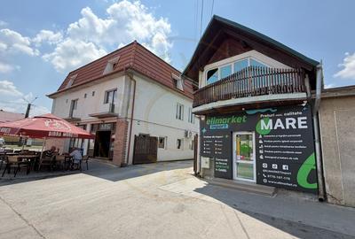 Inchiriere Spațiu Comercial 55 mp - Str. C.A.Române, Zona Ludy – Carei - 9