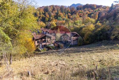 Teren 2,900mp Brasov / Strada Ciresului - 21