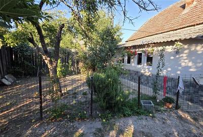 Casa Pustinis 2 camere - 16