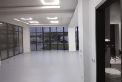 Zona Drumul Intre Tarlale - Catelu - hala cu birouri si showroom - 4