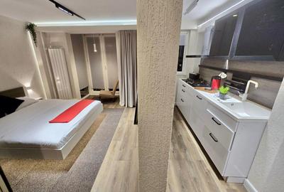 Victoriei, Veronica Micle - apartament 2 camere renovat de inchiriat. - 19