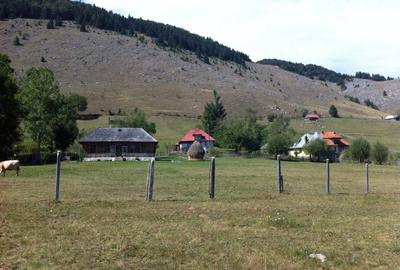 Teren superb pentru construcții de vânzare în Șirnea, Jud. Brașov - 6