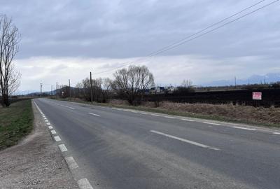 Teren 50000mp Extravilan-Intrare Halchiu-Cod 5235 - 3