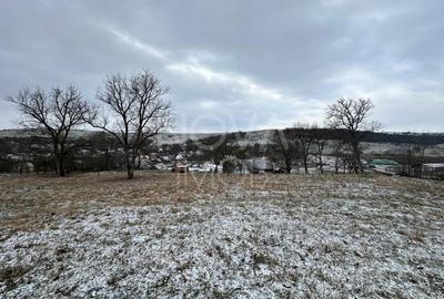 Casa individuala cu teren generos – 8.356 mp – Tichindeal, jud. Sibiu - 9