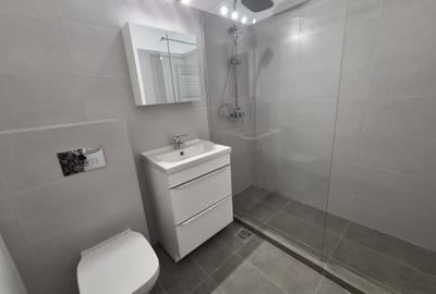 Inchiriere Apartament 3 Camere cu Gradina Iancu Nicolae - 13
