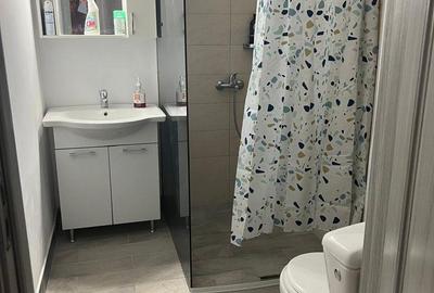 Inchiriere apartament 2 camere zona Piata Sudului - 6