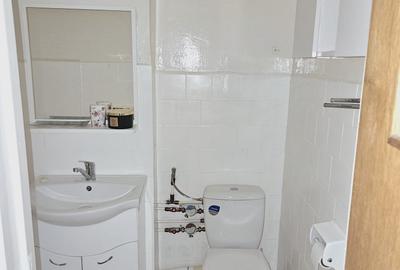 Apartament 2 camere - Dristor - Camil Ressu - Renovat - Metrou - 9