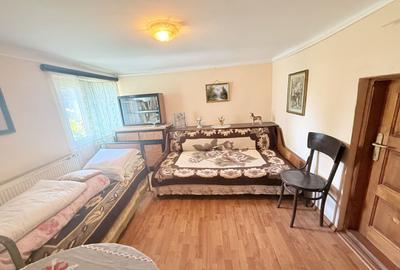 Casa interbelică cu arhitectură deosebită+Anexa și teren 1570 mp - 10