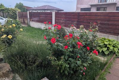 CASĂ DE VIS ÎN SĂBĂRENI – OAZĂ DE LINIȘTE LA DOAR 11 KM DE BUCUREȘTI - 13