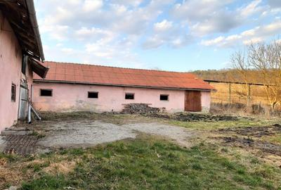 Investitie ideala in Coroi! Constructii cu 4.6 ha teren. - 12